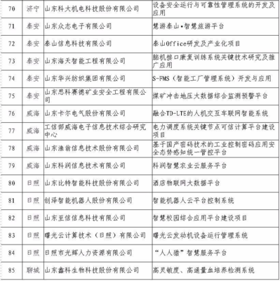 日照5家企業(yè)入選省級重點(diǎn)項(xiàng)目名單，引領(lǐng)網(wǎng)絡(luò)與信息安全軟件開發(fā)新浪潮
